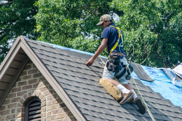 Best Residential Roofing Contractor  in Fairbury, IL